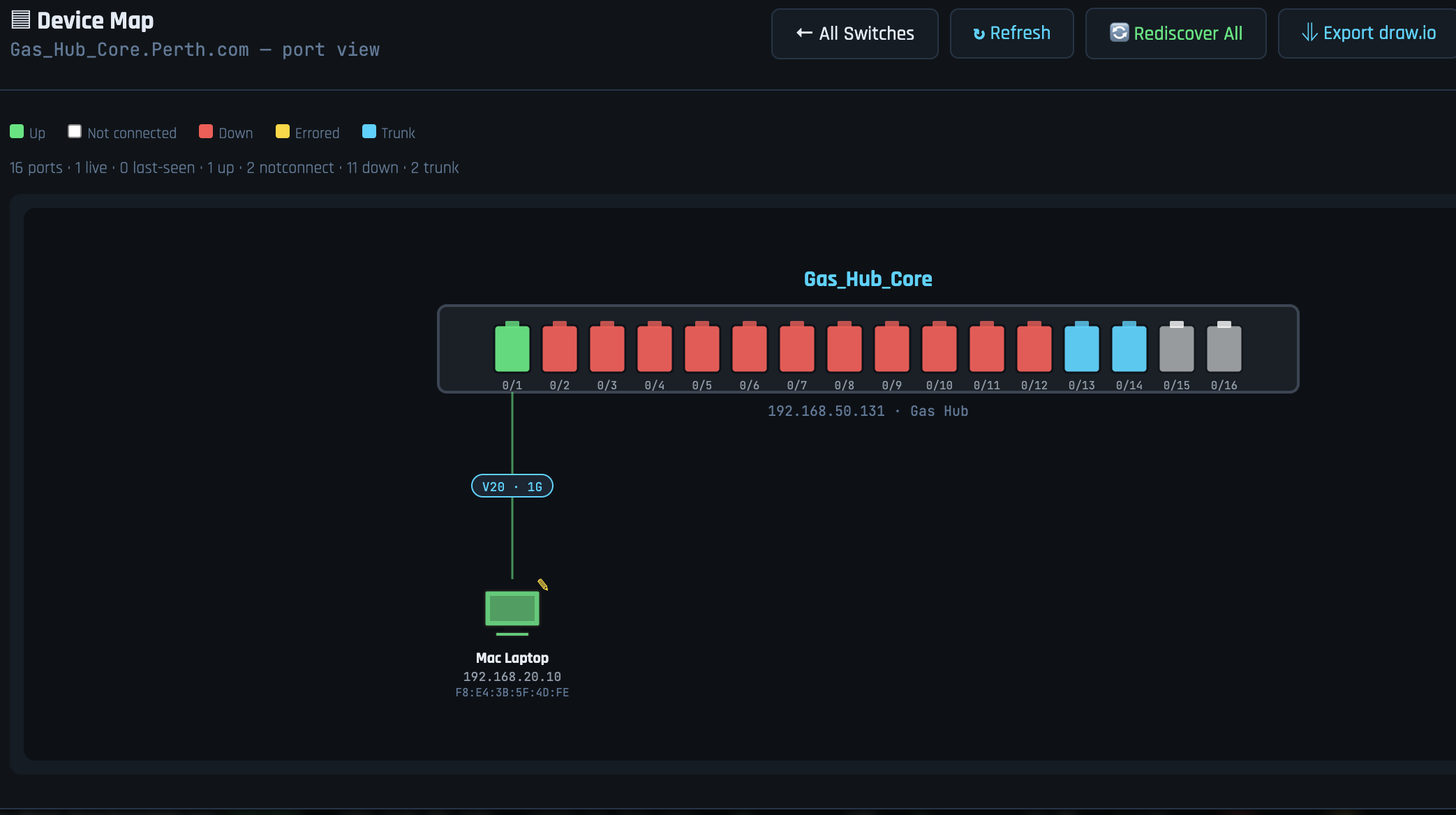 NetPol interface detail showing port status, speed and error counts
